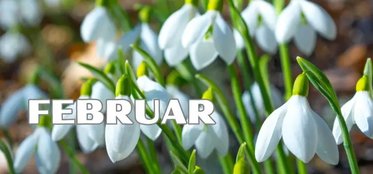 Nyhedsbrev februar ’25
