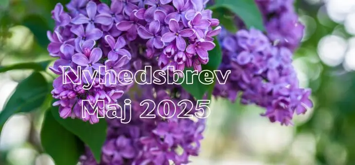 Nyhedsbrev – Maj 2025